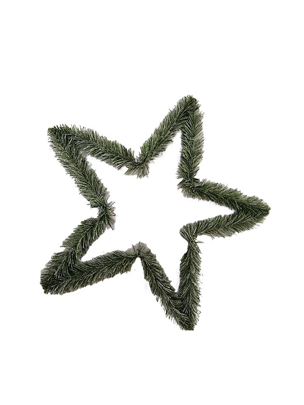 Andere speciale kerstversieringen met sterren