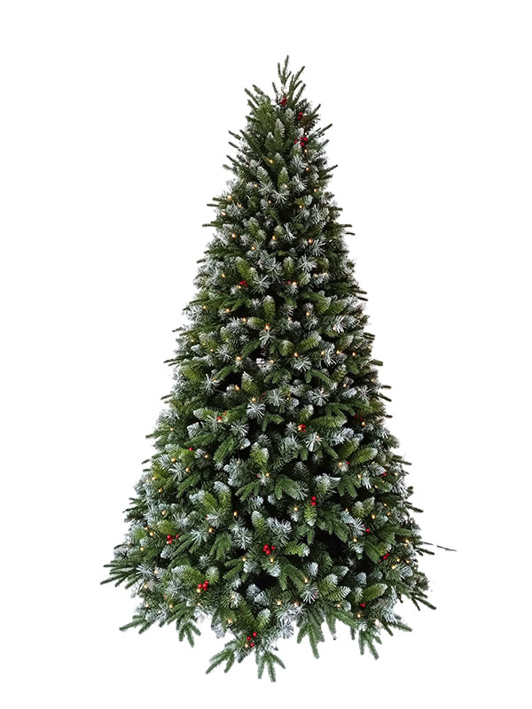 Kerstboom-PESW210002