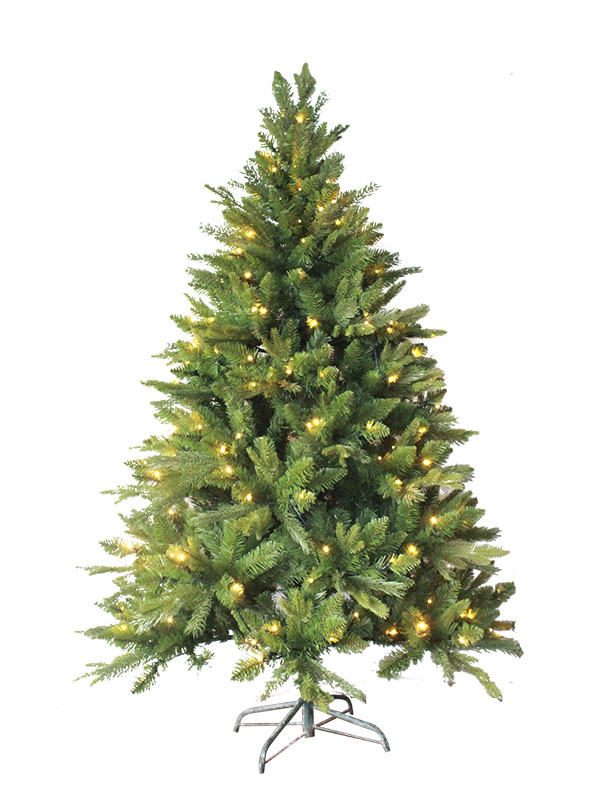 Kerstboom-PE180085