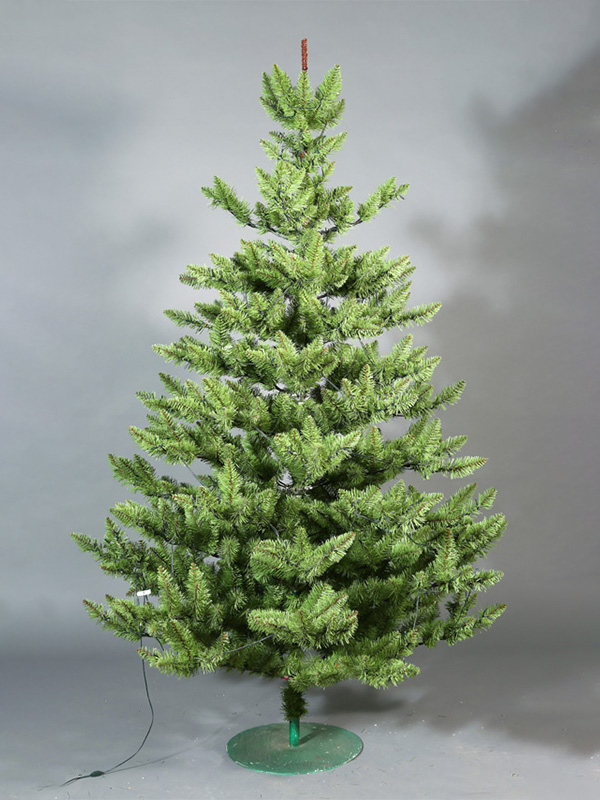Normale kerstboom 9A3A8865