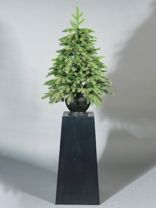 Kerstboom in pot 9A3A8864