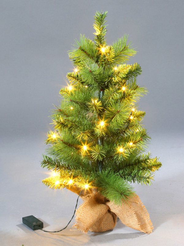 Tafelkerstboom 9A3A8805