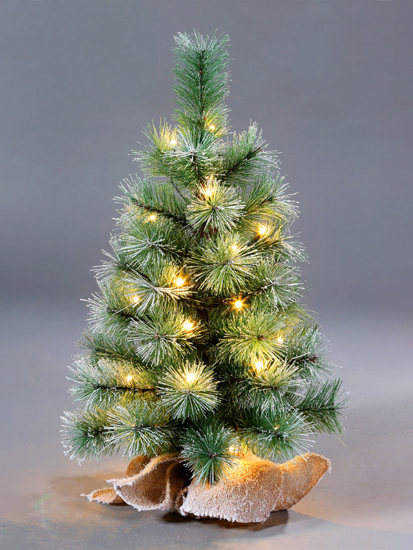 Tafelkerstboom 9A3A8821