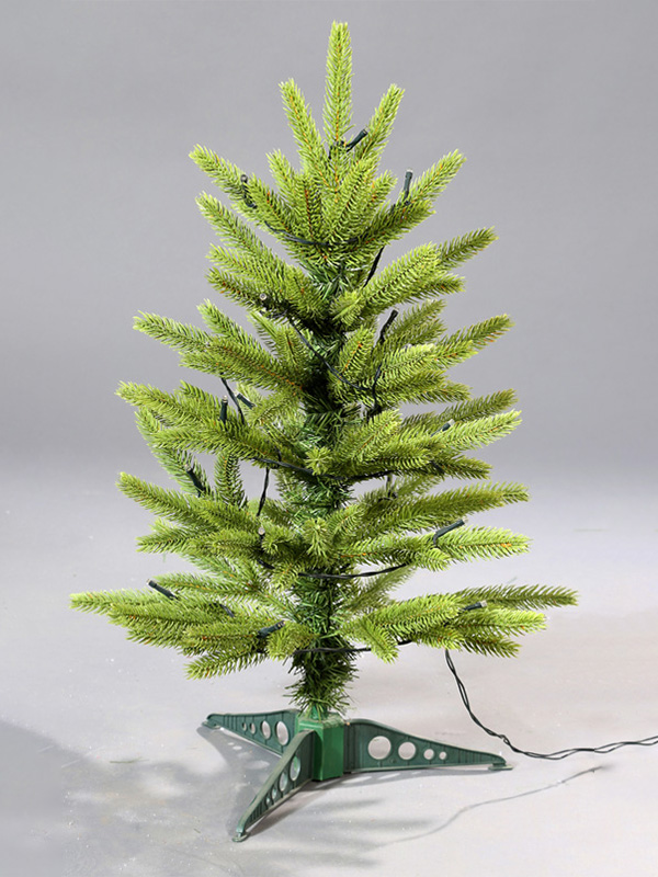 Tafelkerstboom 9A3A8829